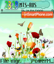 Beautiful Flowers theme screenshot