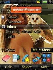 Girly Owl tema screenshot
