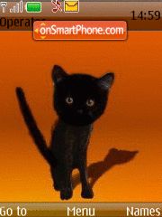 Scary Cat theme screenshot