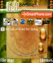 Скриншот темы Nokia n73