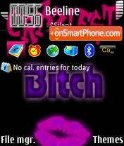 Capture d'écran Bitch 01 thème