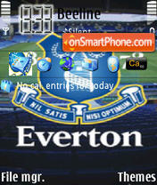 Everton tema screenshot