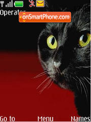 Capture d'écran Black Cat thème