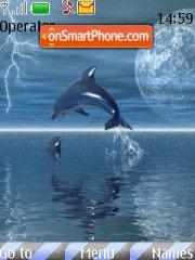 Dolphin In Lightning tema screenshot