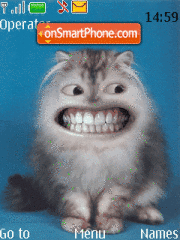 Funny Cat! theme screenshot