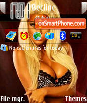 Brooke Banx 03 tema screenshot