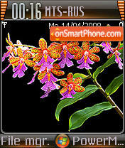 Windows Vista Orchid 01 tema screenshot