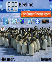 Скриншот темы Pinguins 02