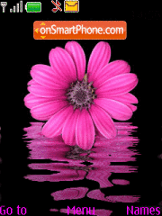 Pink Flower es el tema de pantalla