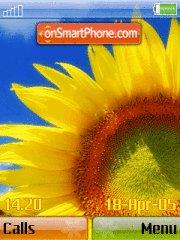 Sunflower 03 tema screenshot