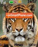 Tiger tema screenshot