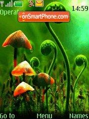 Green Mushrooms tema screenshot