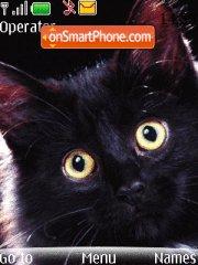 Black cat tema screenshot