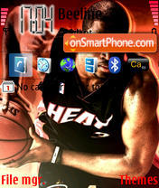 Dwayne Wade tema screenshot