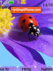 Capture d'écran Lady Bug thème