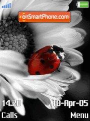 Ladybug with Flower tema screenshot