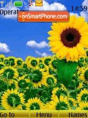 Sunflower theme screenshot