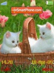 Two white Kittens Theme-Screenshot