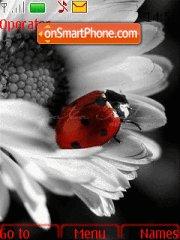 Flower N Beetle theme screenshot