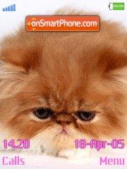 Persian Cat tema screenshot