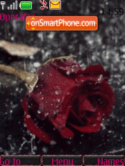 Rose In Rain animated theme screenshot