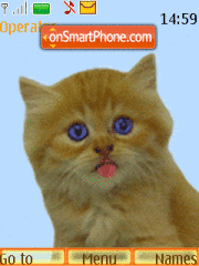 Capture d'écran Animated Cat thème
