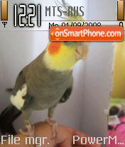 Capture d'écran Parrot thème