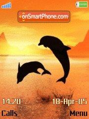 Dolphins tema screenshot
