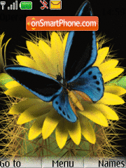 Animated Butterfly tema screenshot