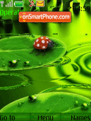 Скриншот темы Ladybug animated