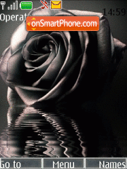 Скриншот темы Black Roses