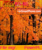 Autumn Forest tema screenshot