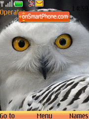 Скриншот темы Owl Animated