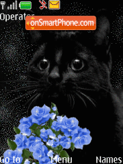 Black cat Animated tema screenshot