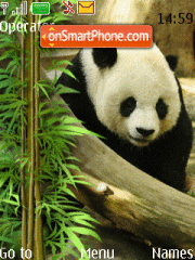 Скриншот темы Panda