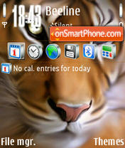 Скриншот темы Tiger Eyes