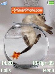 Cat in Aquarium es el tema de pantalla
