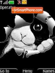 Black And White Cat theme screenshot