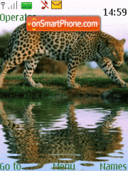 Cheetah Animated tema screenshot