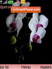 Capture d'écran Orchids thème