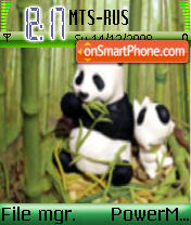 White Panda Bear tema screenshot