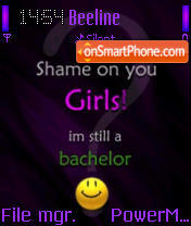 Bachelor Theme-Screenshot