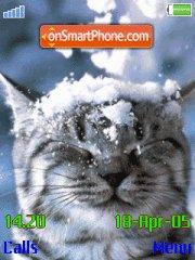 Скриншот темы Cat In Snow