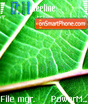 Leaves theme screenshot