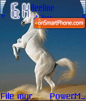 Horse 02 theme screenshot