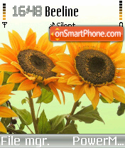 Sunflower Theme-Screenshot