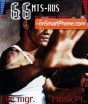 Bruce Lee 01 theme screenshot