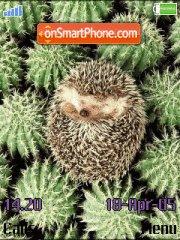 Скриншот темы Hedgehog in Cactuses