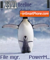 Pingvin 01 es el tema de pantalla