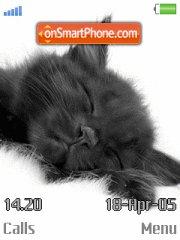 Sleep Cat tema screenshot